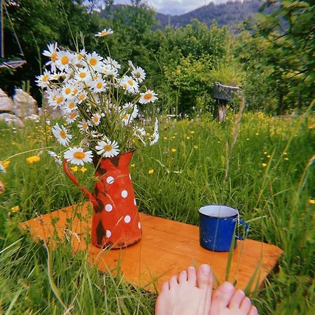 Kokin Brod Apartments 아파트