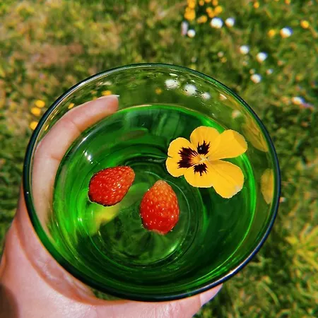 Kokin Brod Apartments