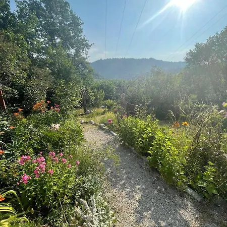 Appartement Kokin Brod Apartments Kokin Brod