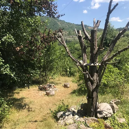 Kokin Brod Apartments Kokin Brod