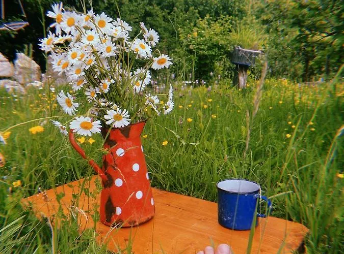 Kokin Brod Apartments 公寓