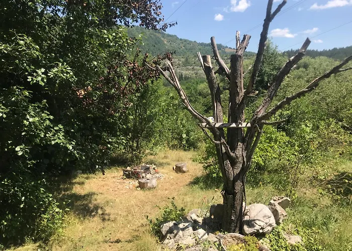 Kokin Brod Apartments Kokin Brod